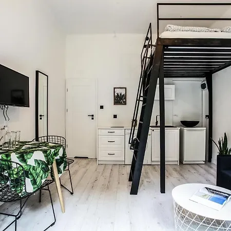 Apartment Studio Kopernik & Free Parking